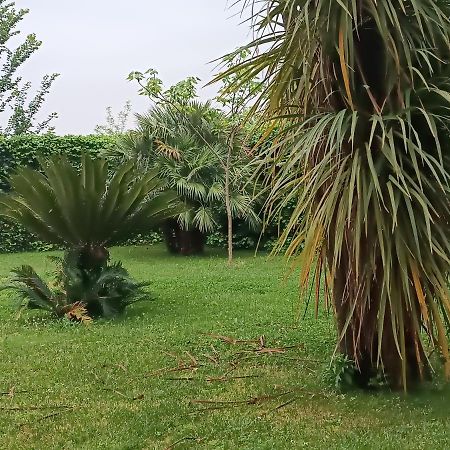 Villa Marano Caianello Vecchio ภายนอก รูปภาพ